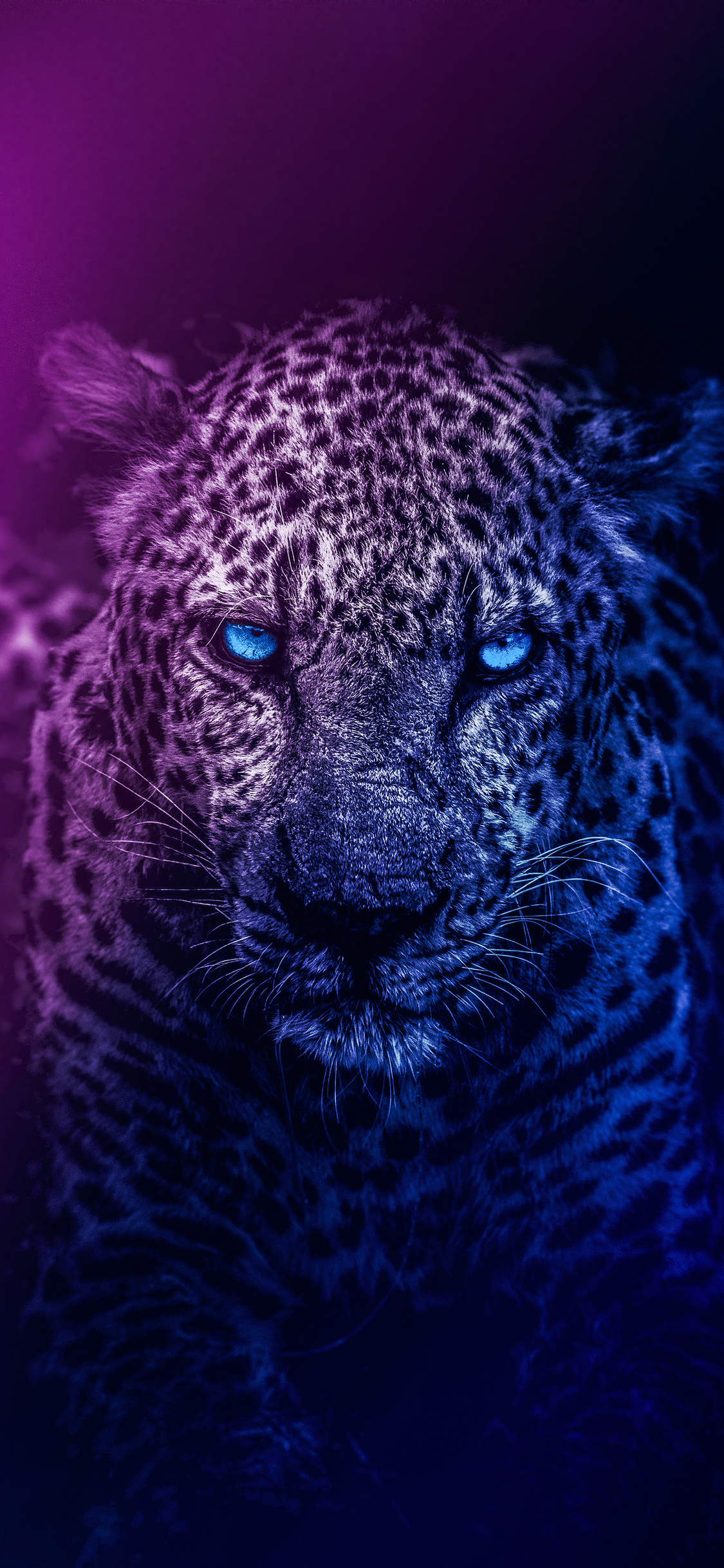 Blue Lion Wallpapers