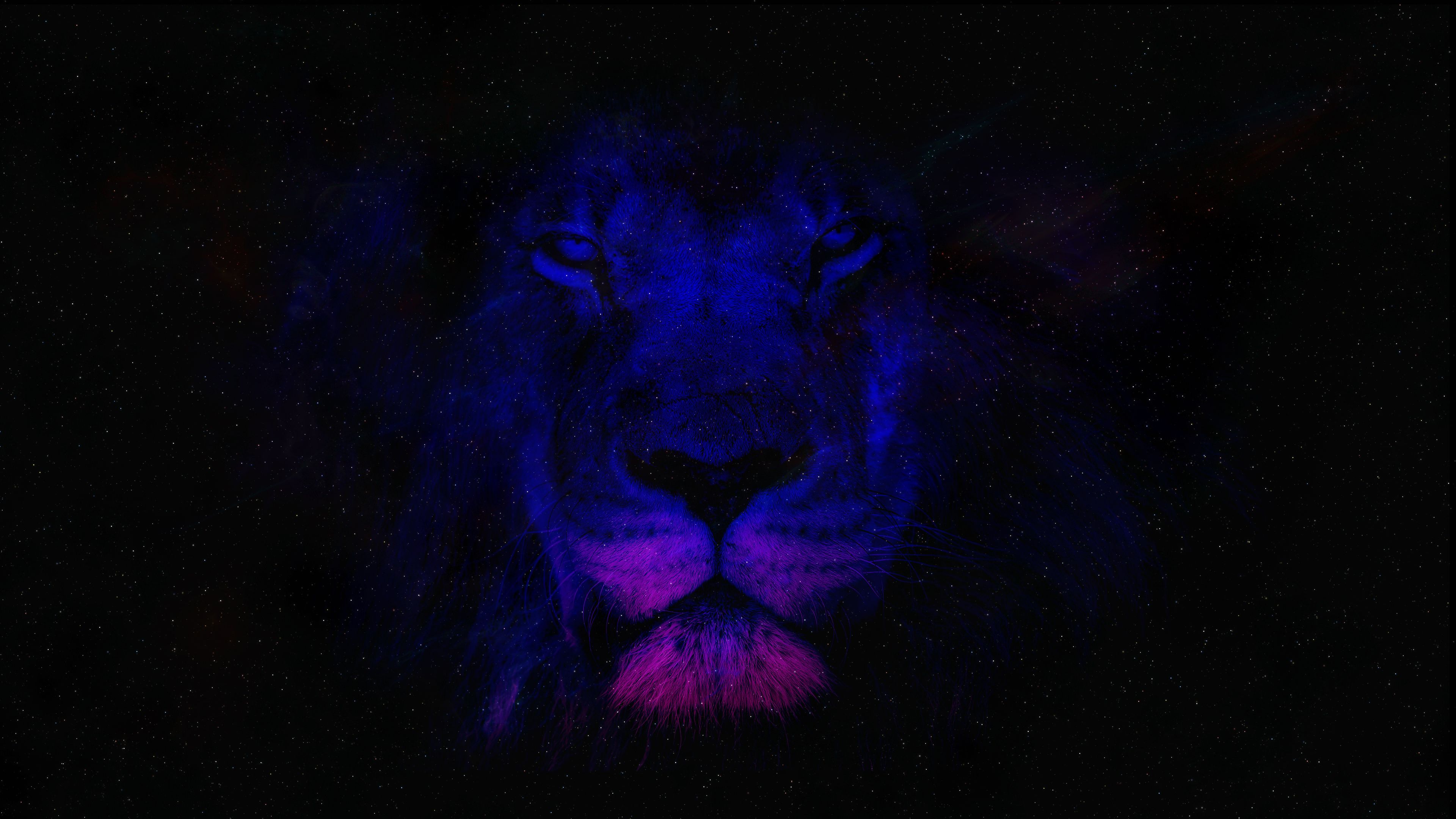 Blue Lion Wallpapers