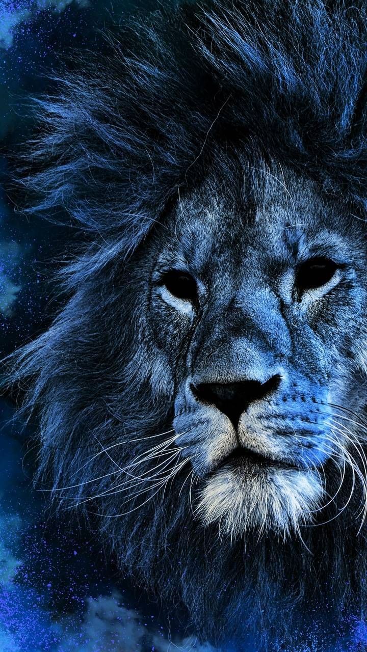 Blue Lion Wallpapers