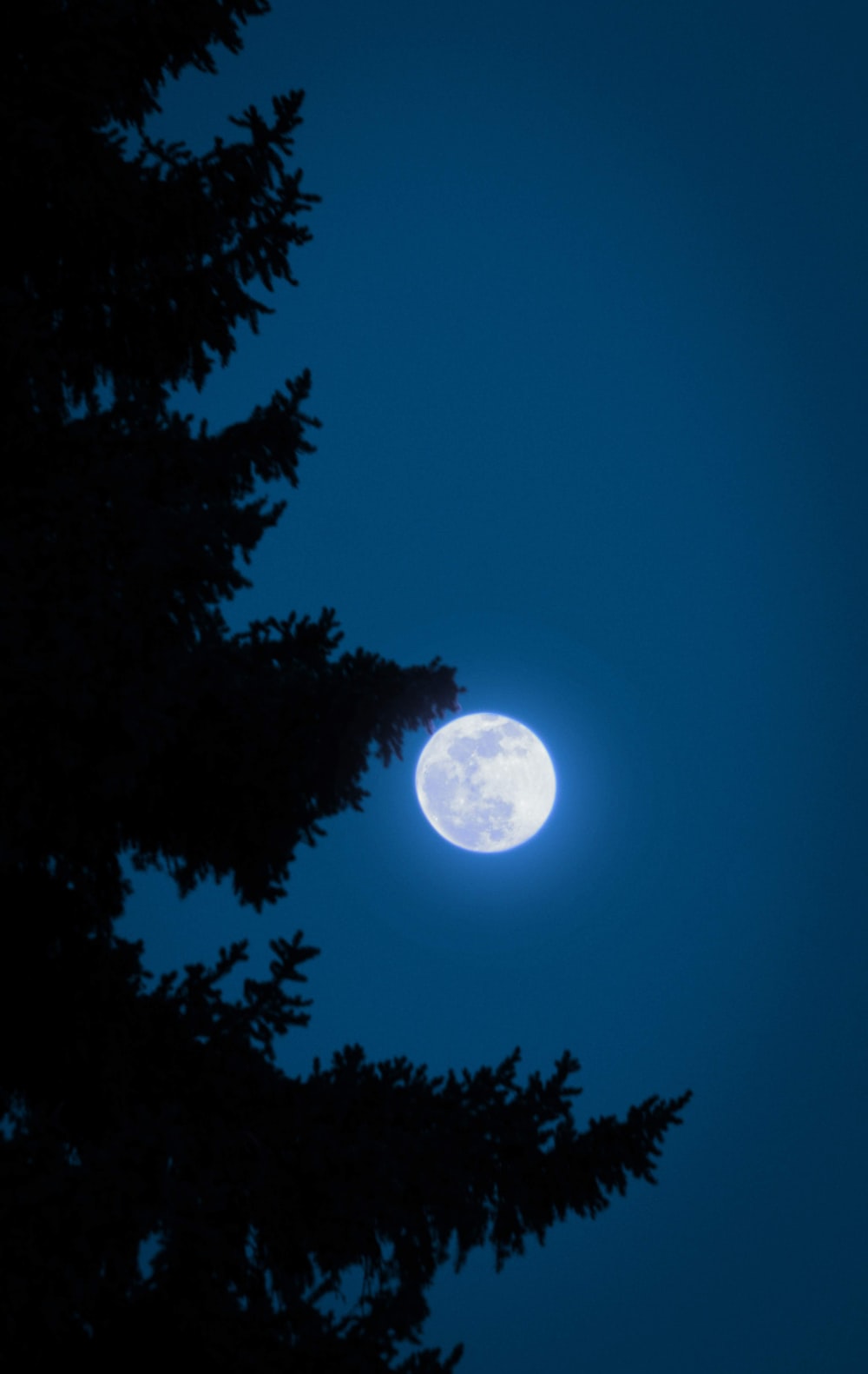 Blue Moon Wallpapers