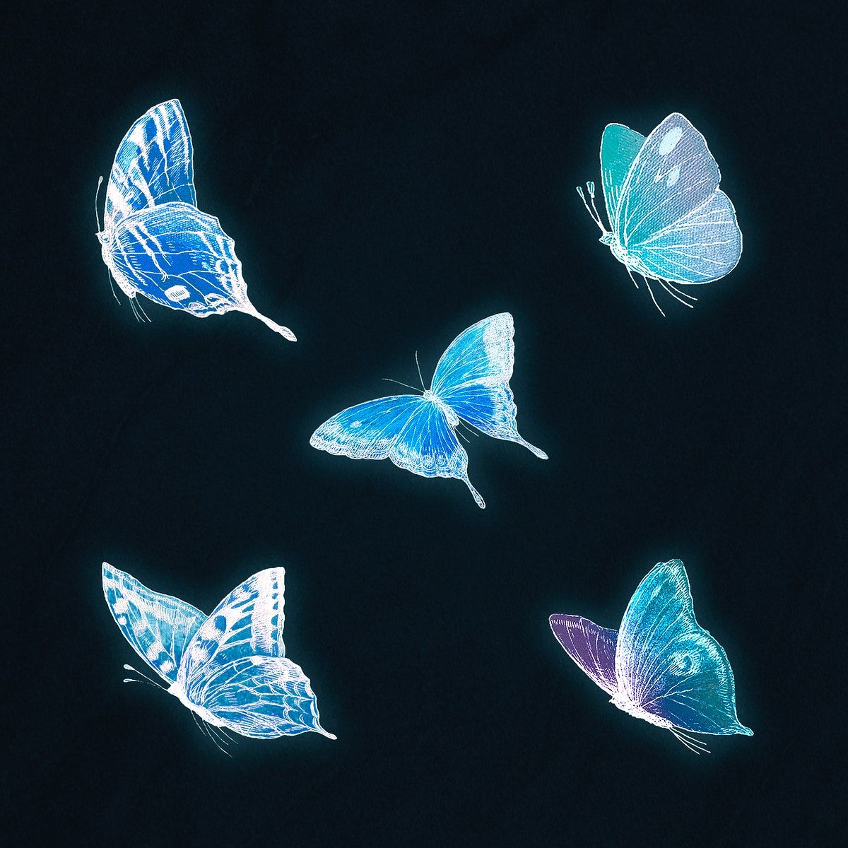 Blue Neon Butterfly Wallpapers