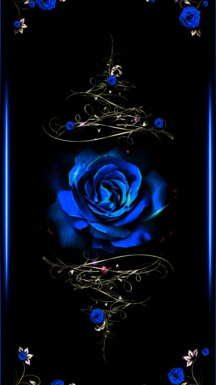 Blue Roses Wallpapers