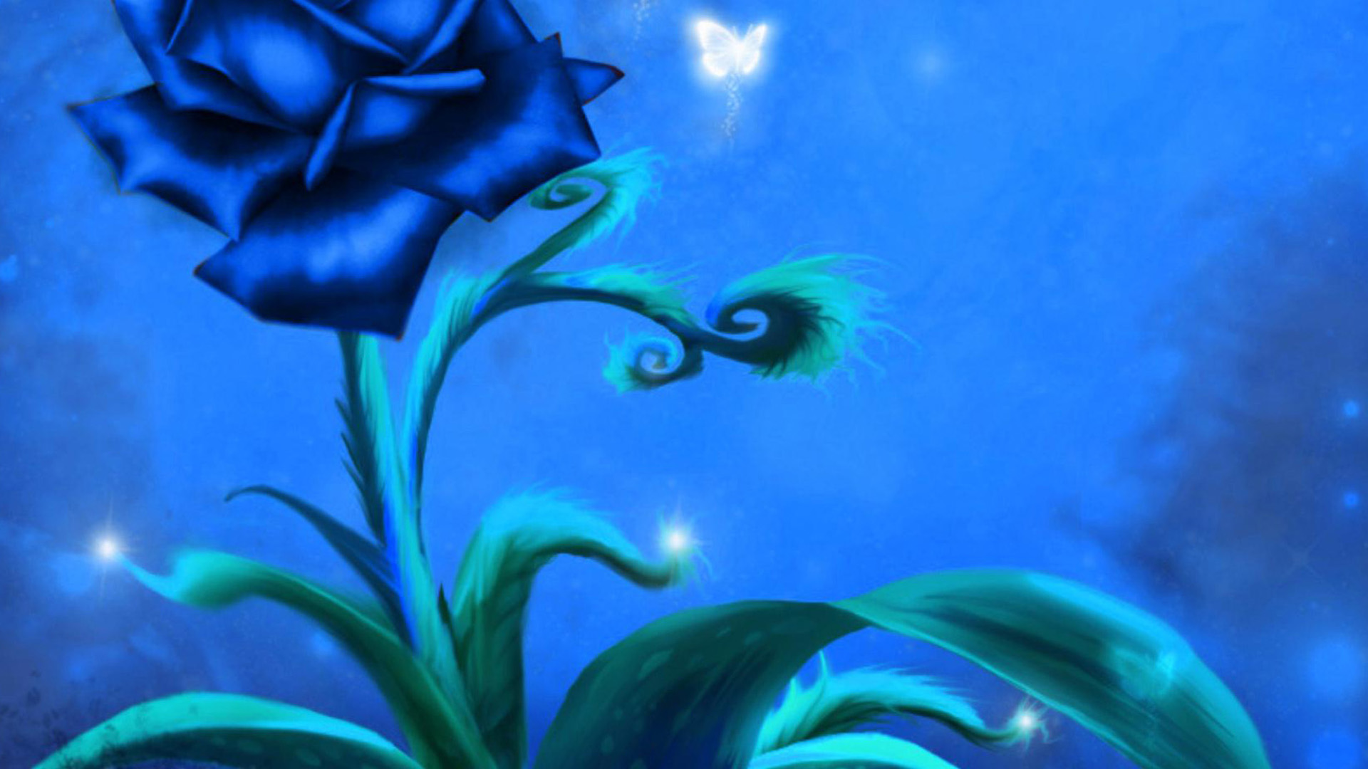 Blue Roses Wallpapers