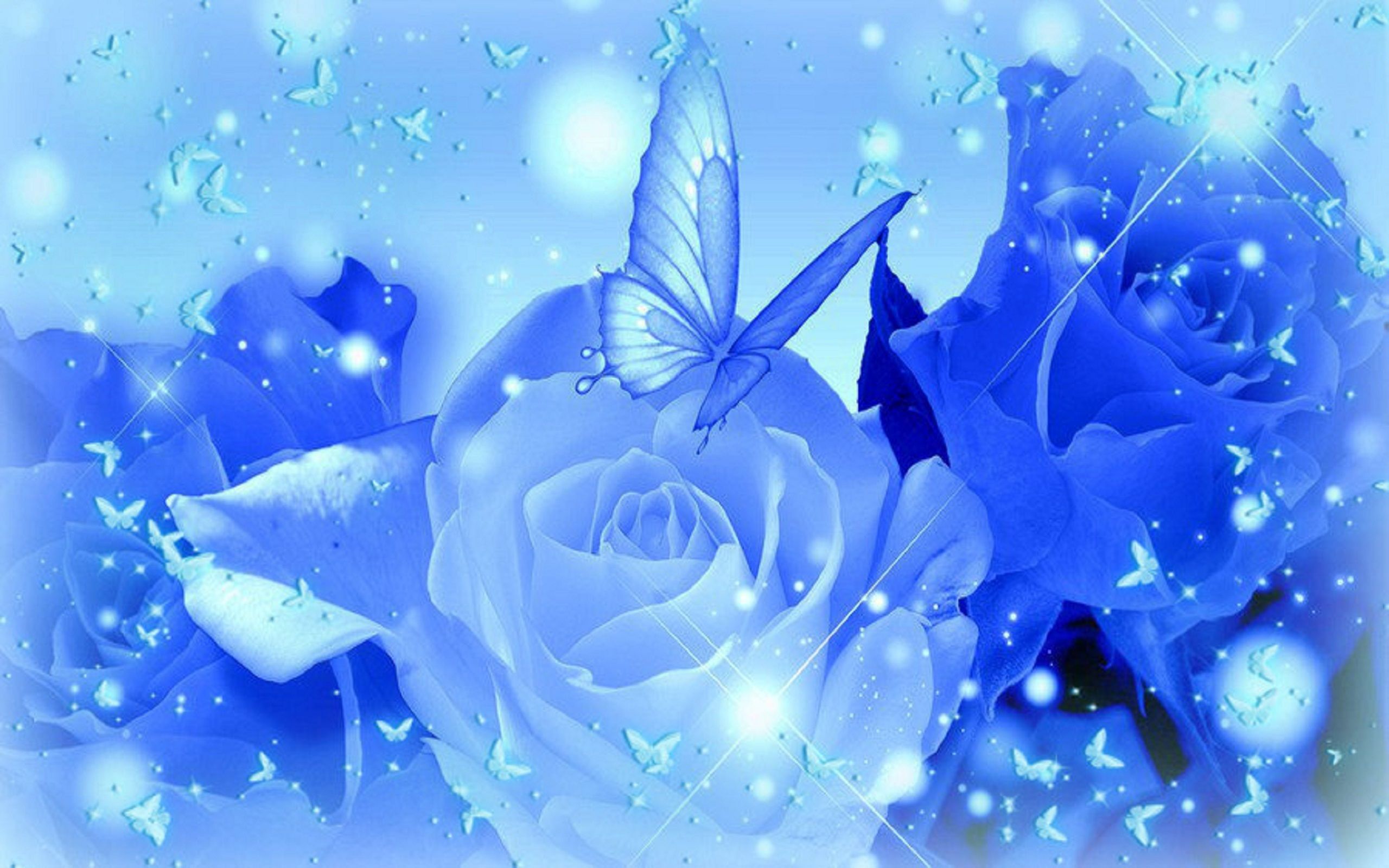 Blue Roses Wallpapers