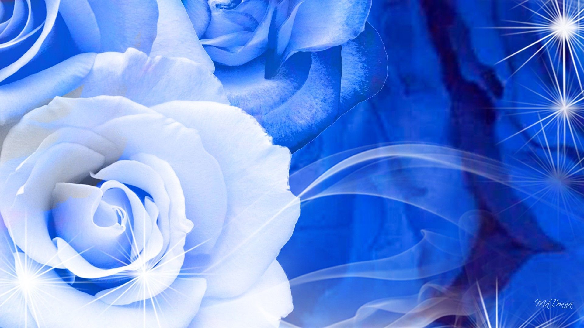 Blue Roses Wallpapers