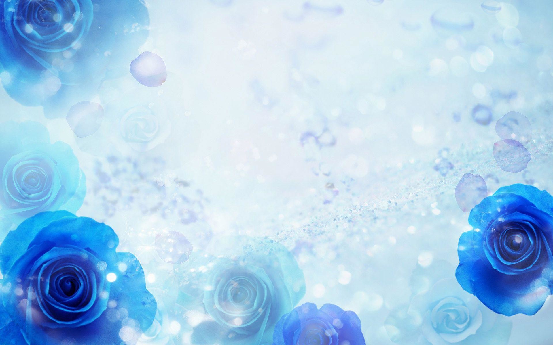 Blue Roses Wallpapers