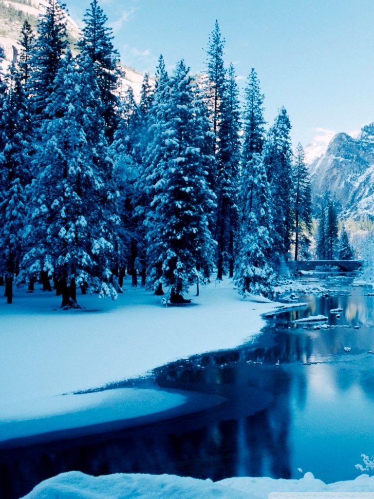 Blue Winter Wallpapers