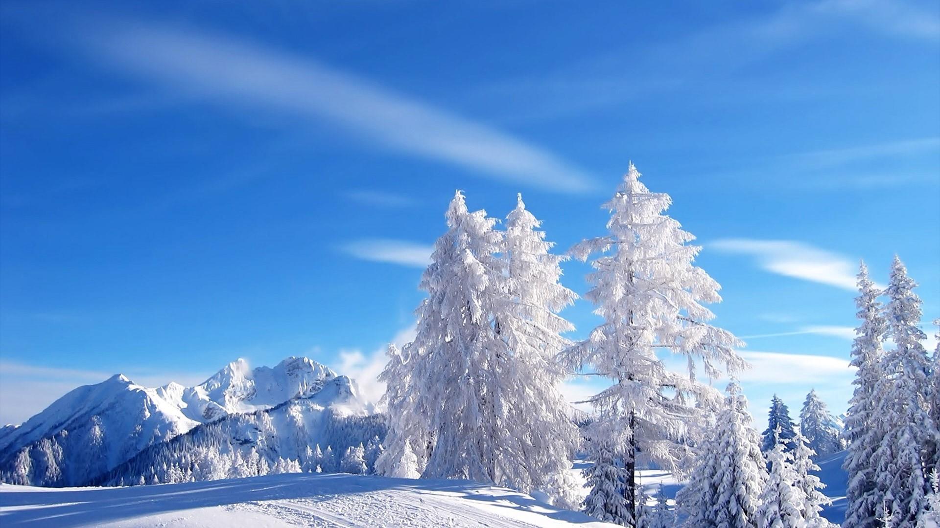 Blue Winter Wallpapers