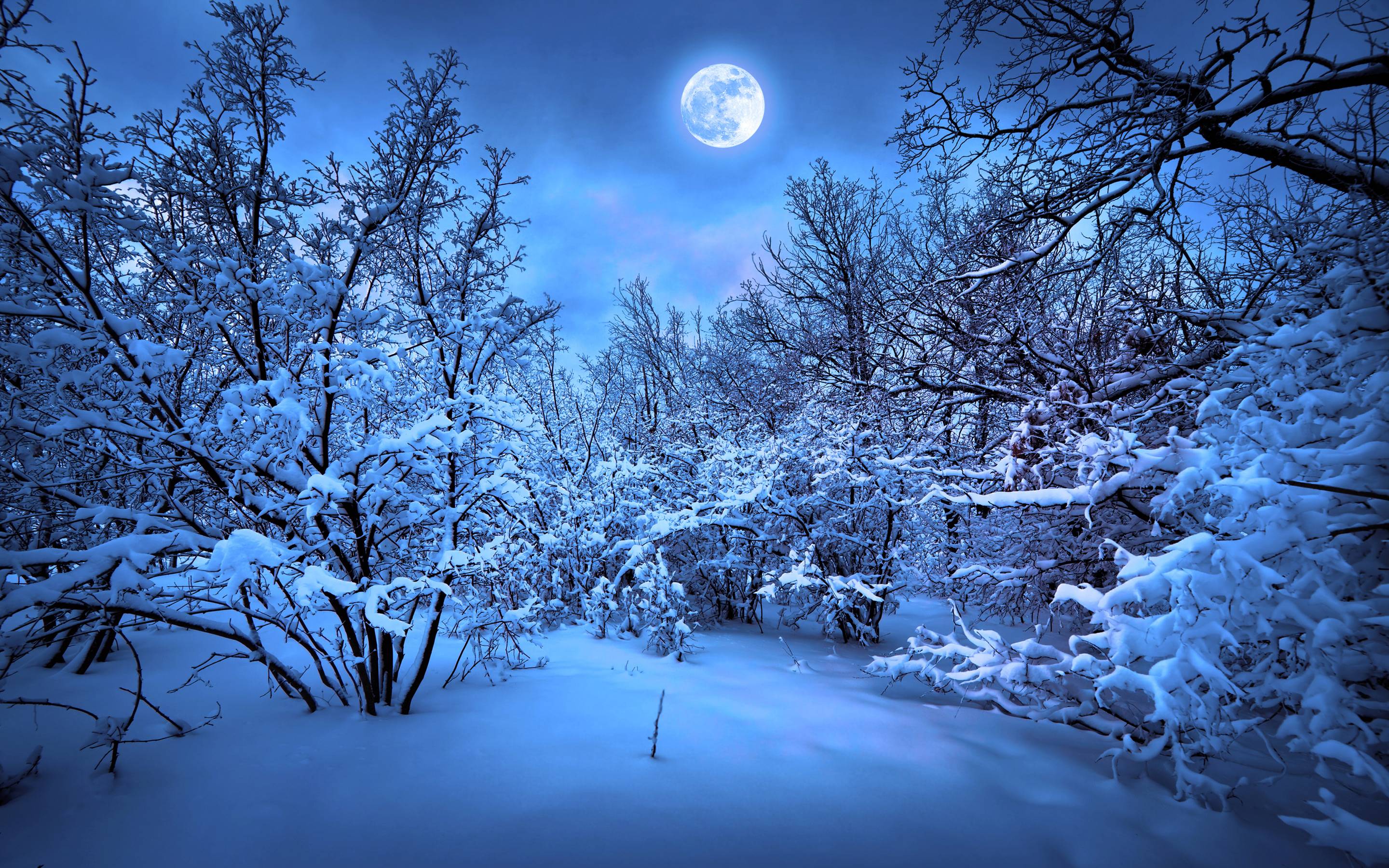 Blue Winter Wallpapers