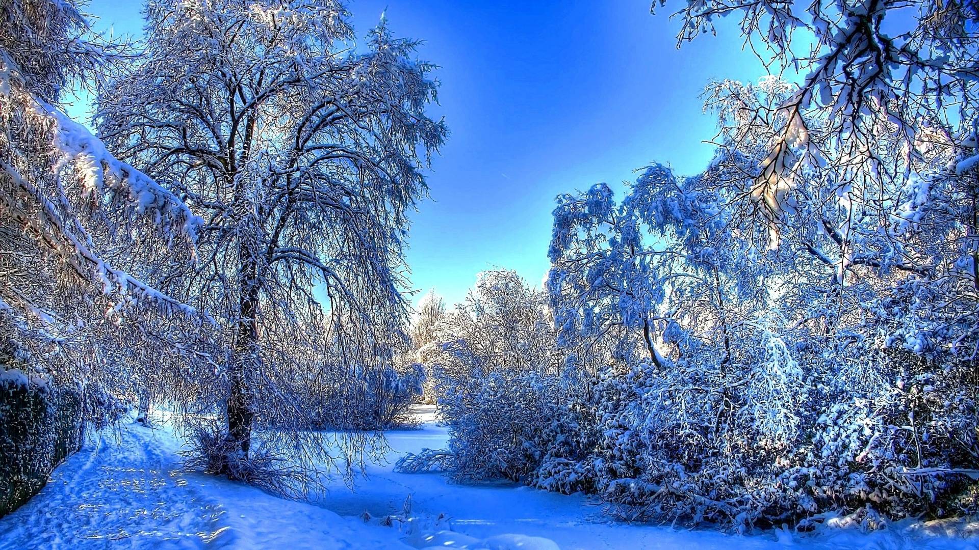 Blue Winter Wallpapers