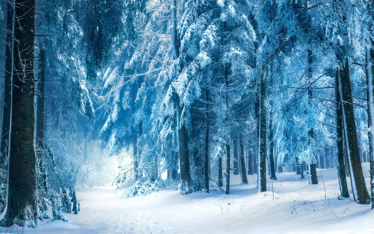 Blue Winter Wallpapers