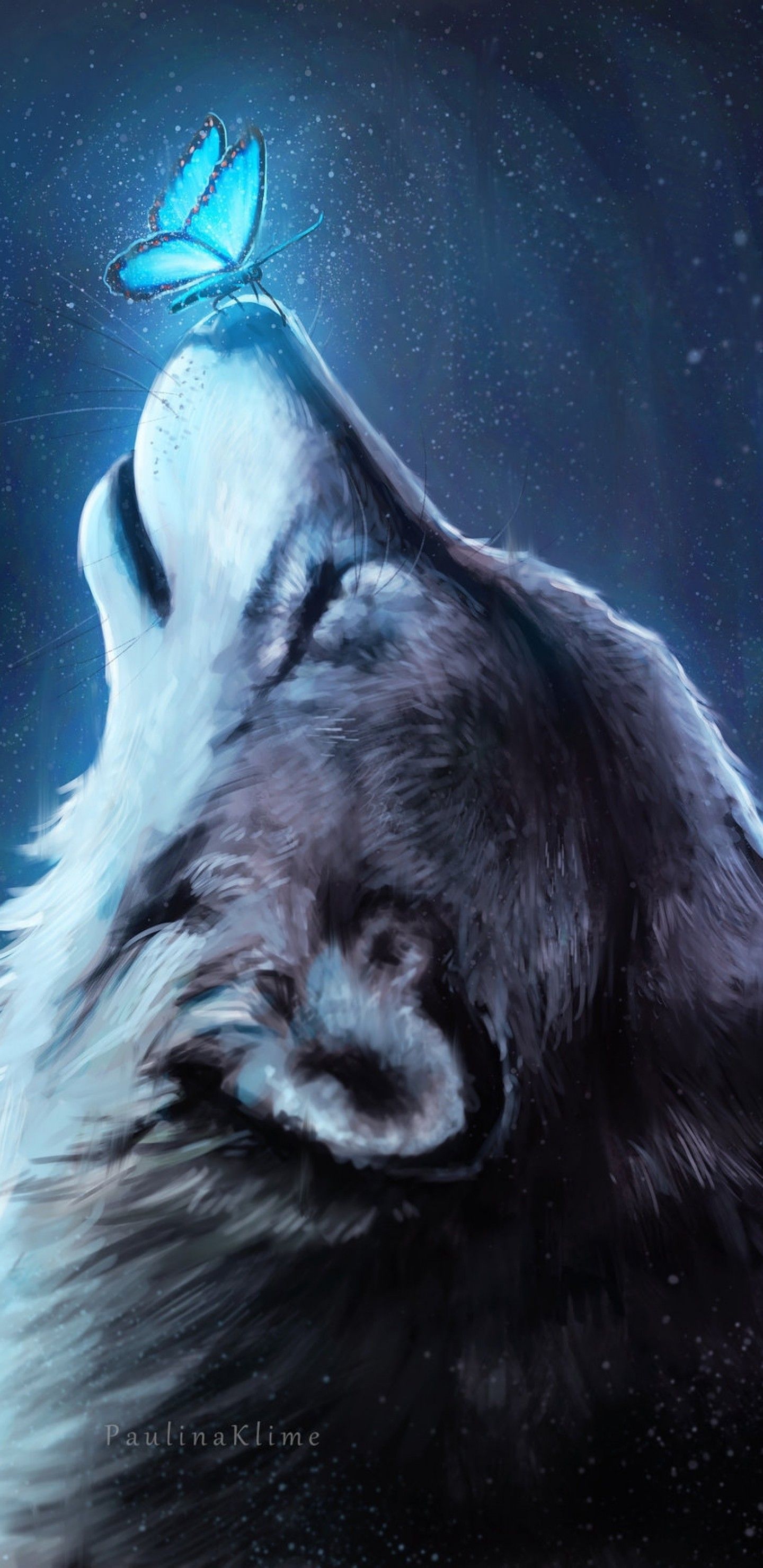 Blue Wolf Wallpapers