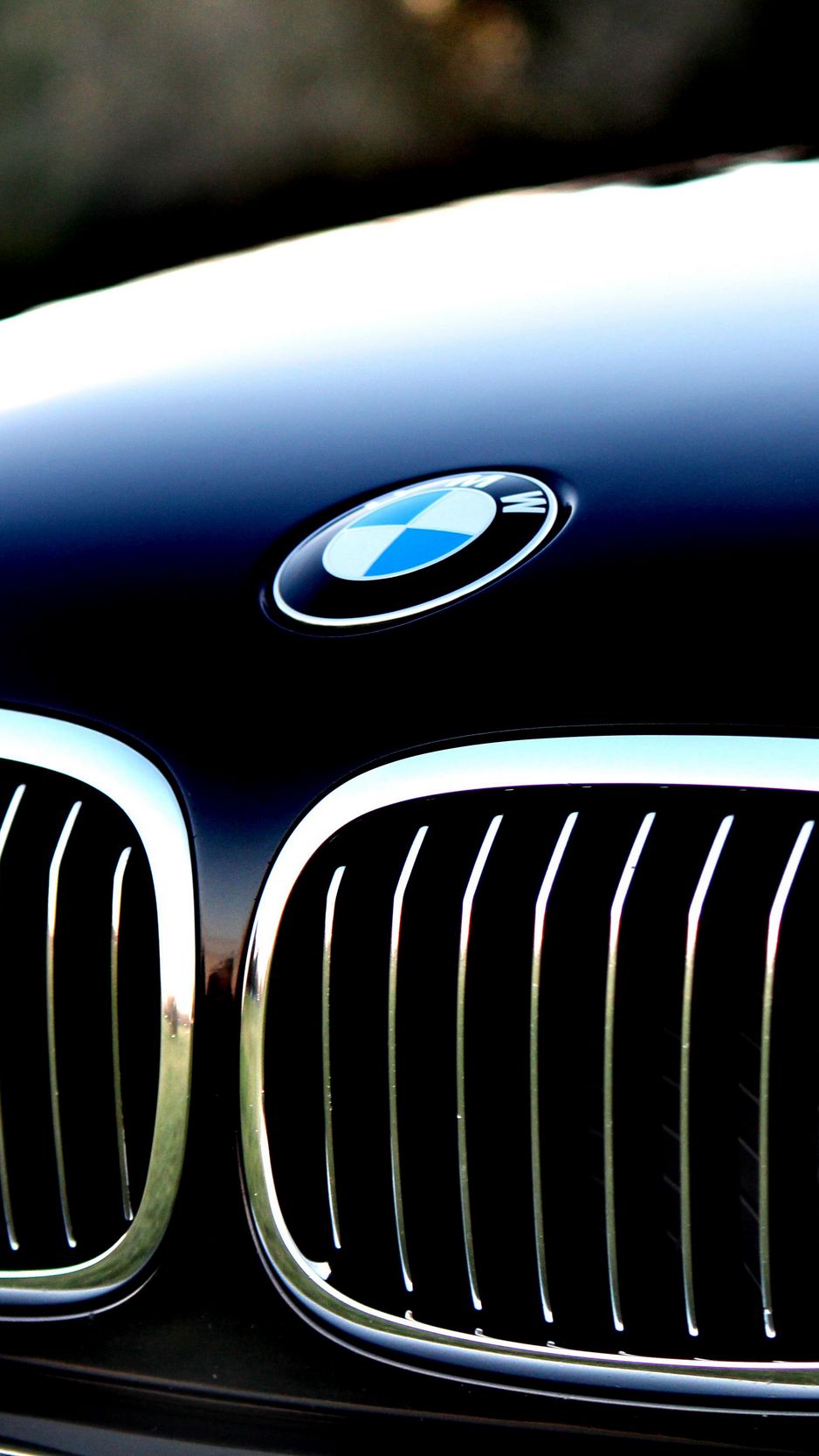 Bmw Logo Iphone Wallpapers