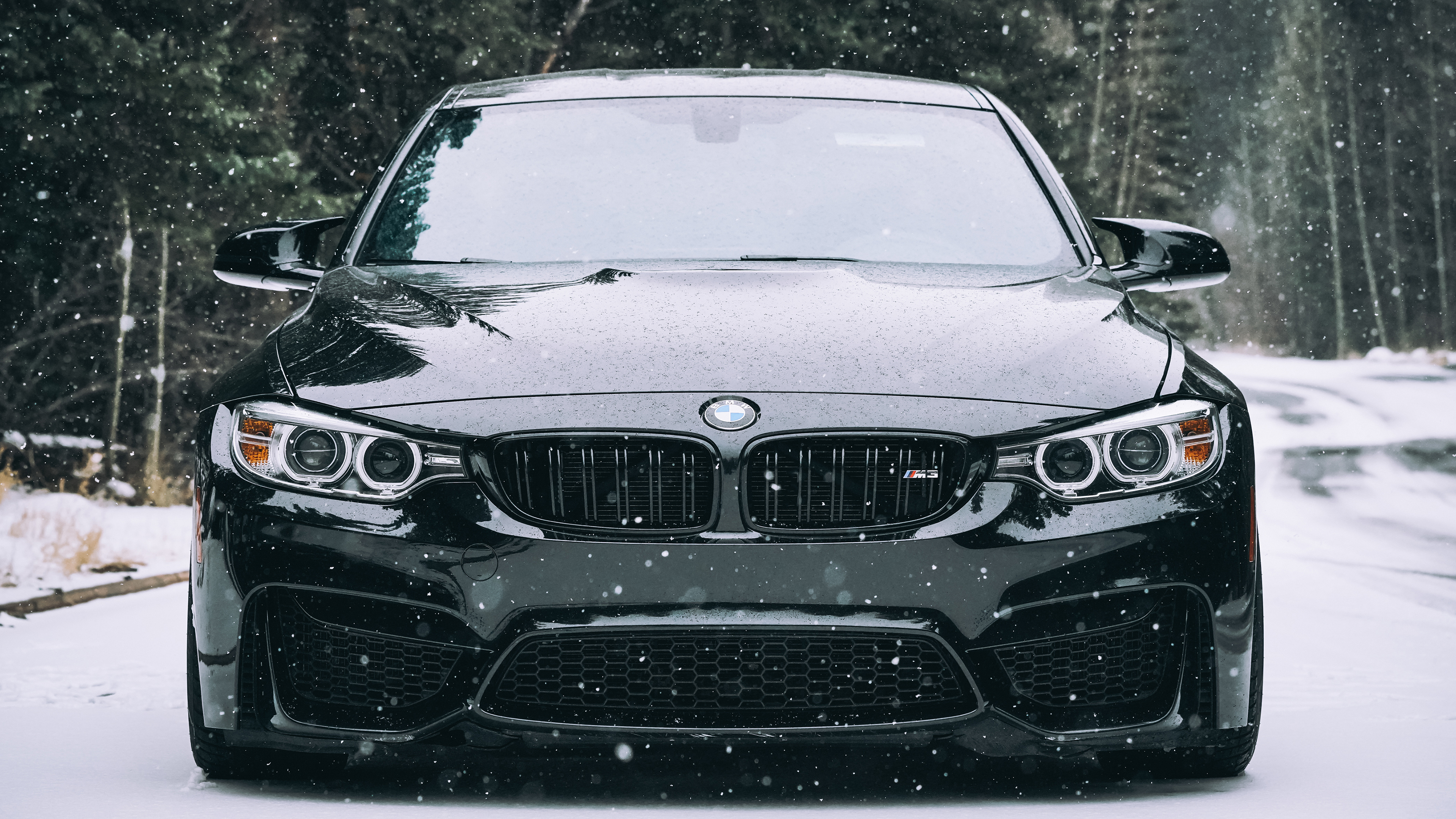 Bmw M3 F80 4K Wallpapers