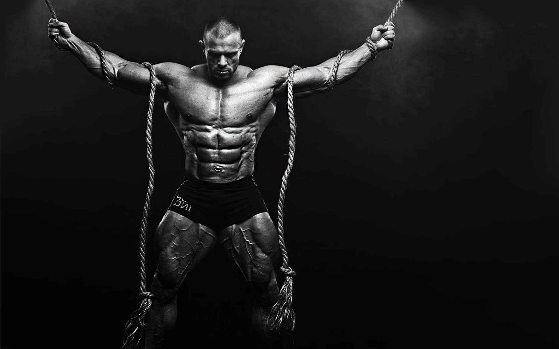 Bodybuilding Hd Wallpapers