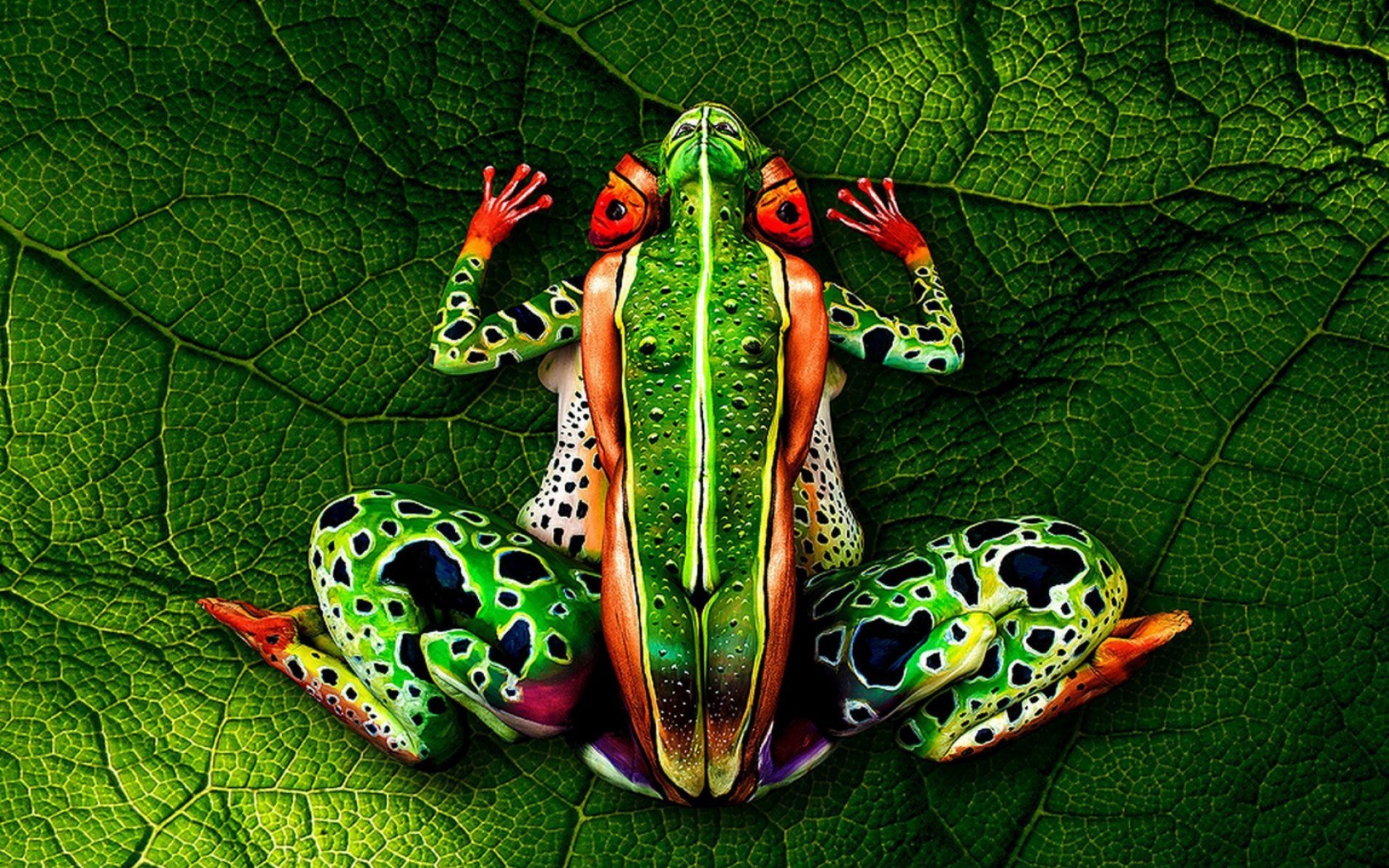 Bodypaint Wallpapers