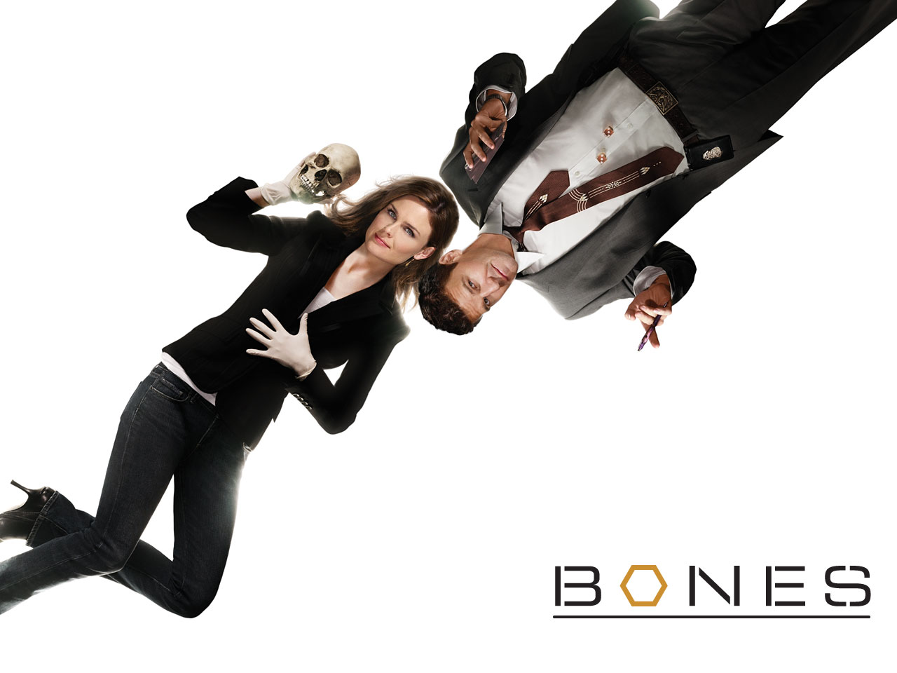 Bones Tv Show Wallpapers