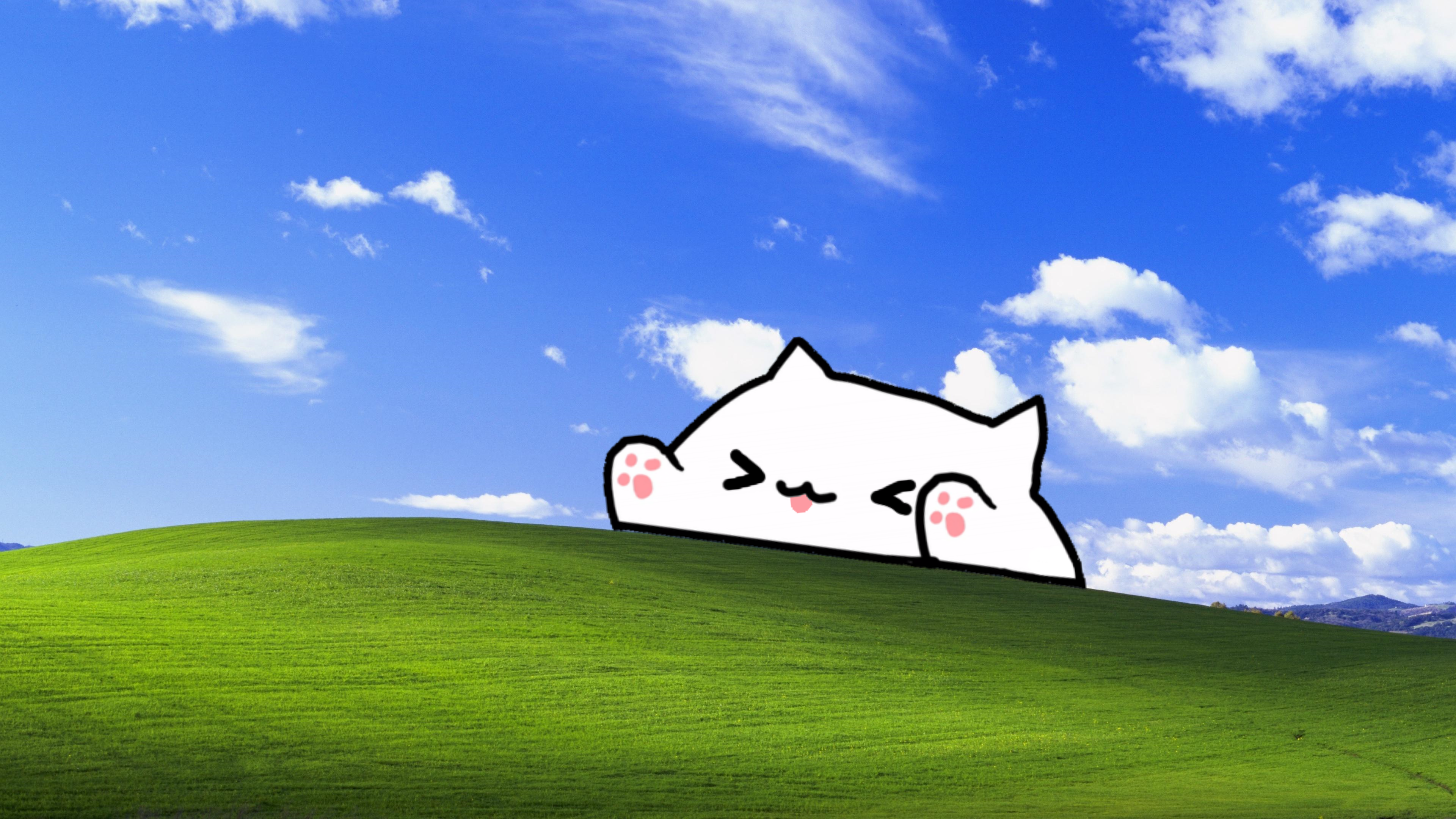 Bongo Cat Memes Wallpapers