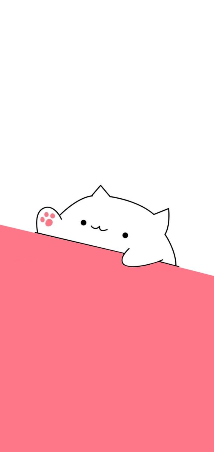 Bongo Cat Memes Wallpapers