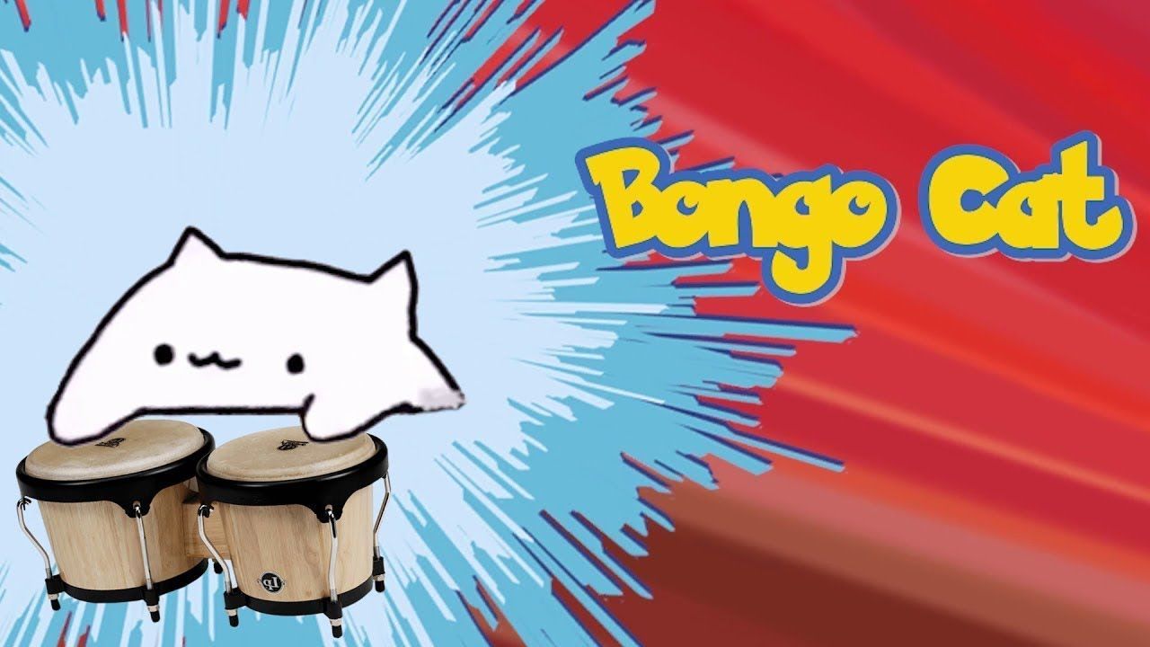 Bongo Cat Memes Wallpapers