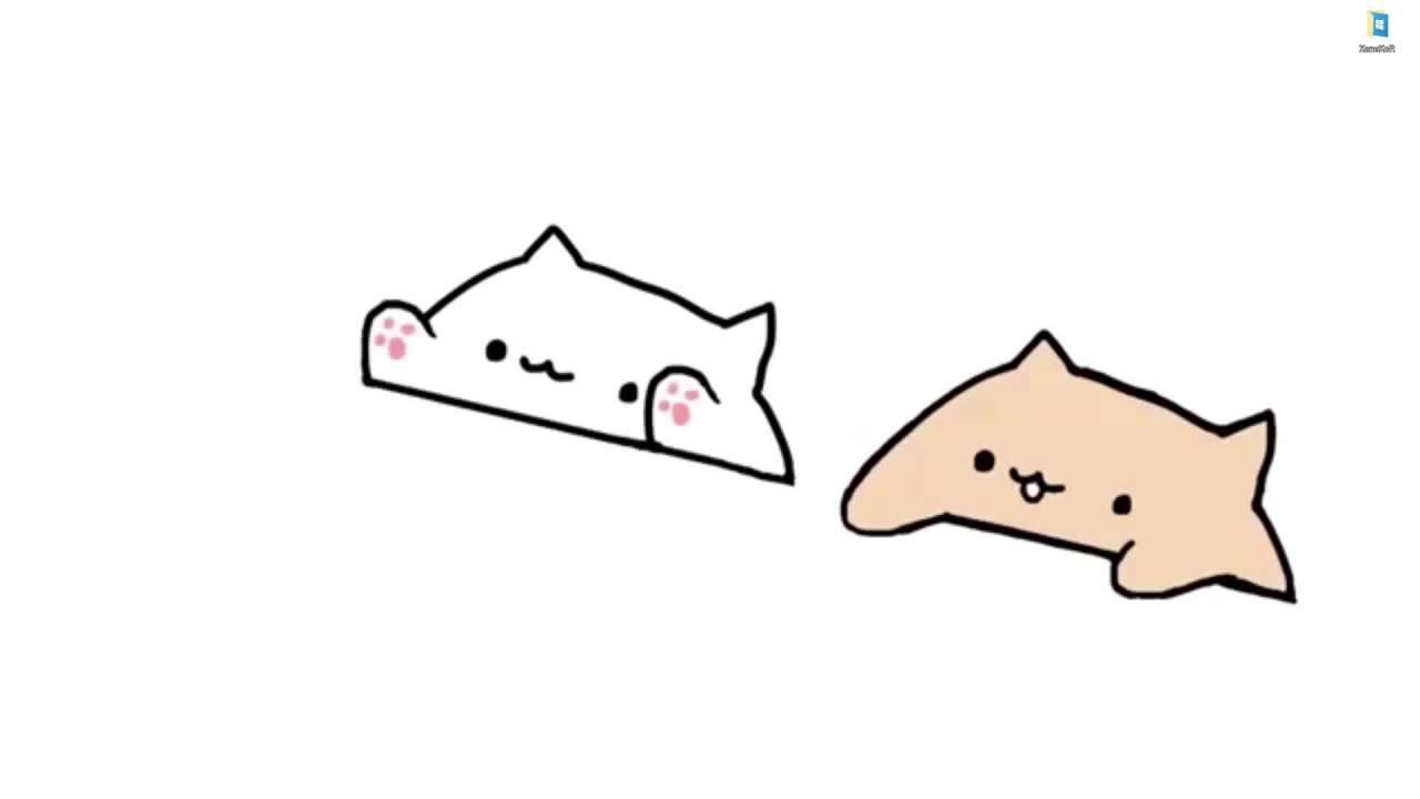 Bongo Cat Memes Wallpapers