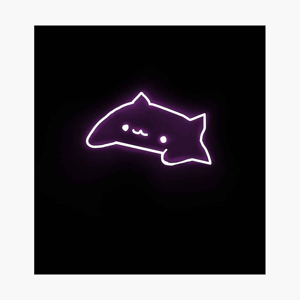 Bongo Cat Memes Wallpapers