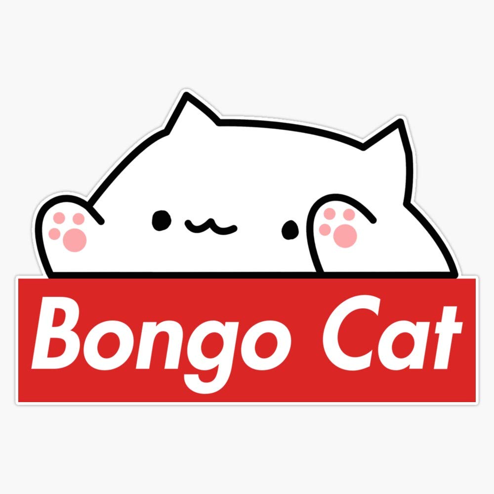 Bongo Cat Memes Wallpapers