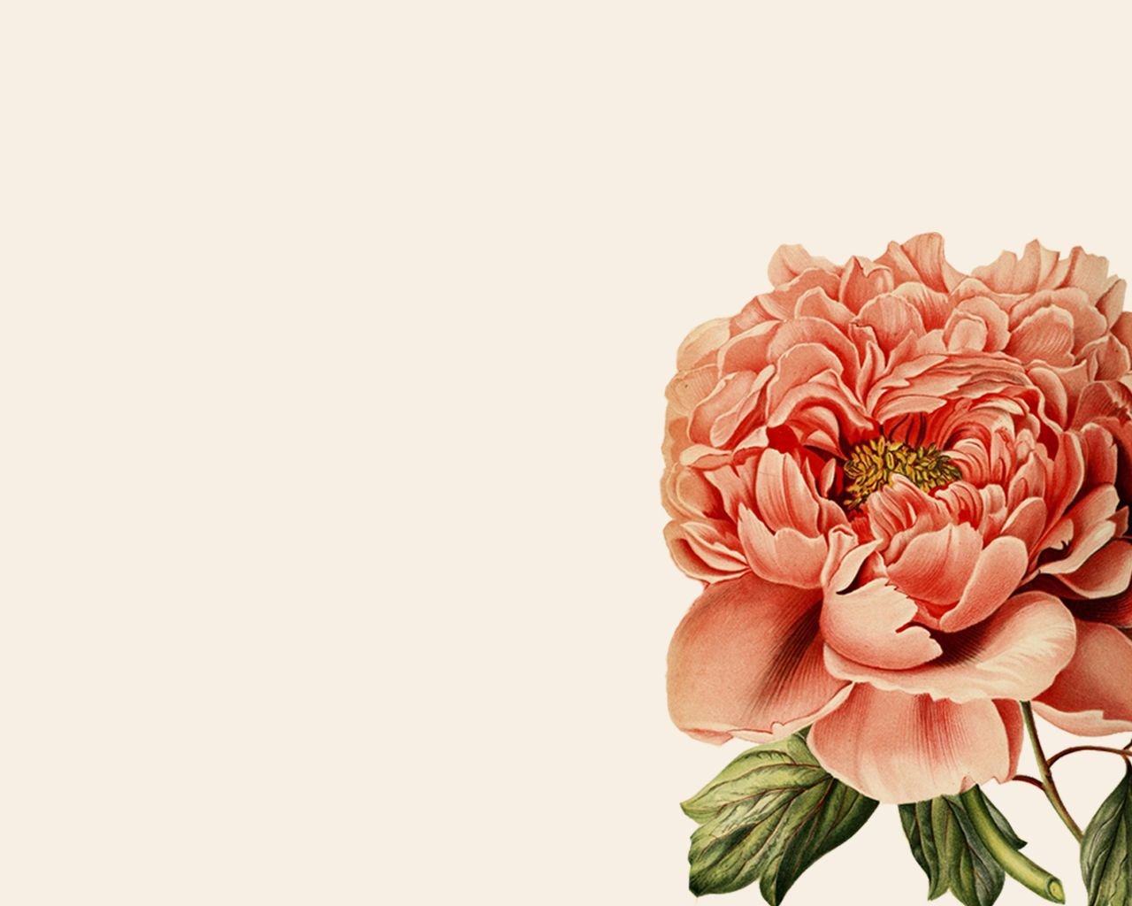 Botanical Computer Wallpapers