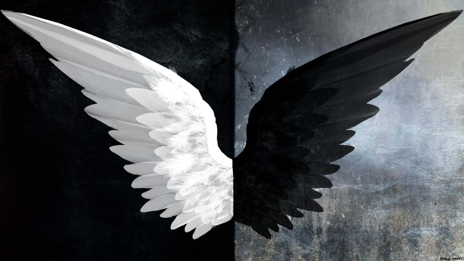 Broken Wings Images Wallpapers