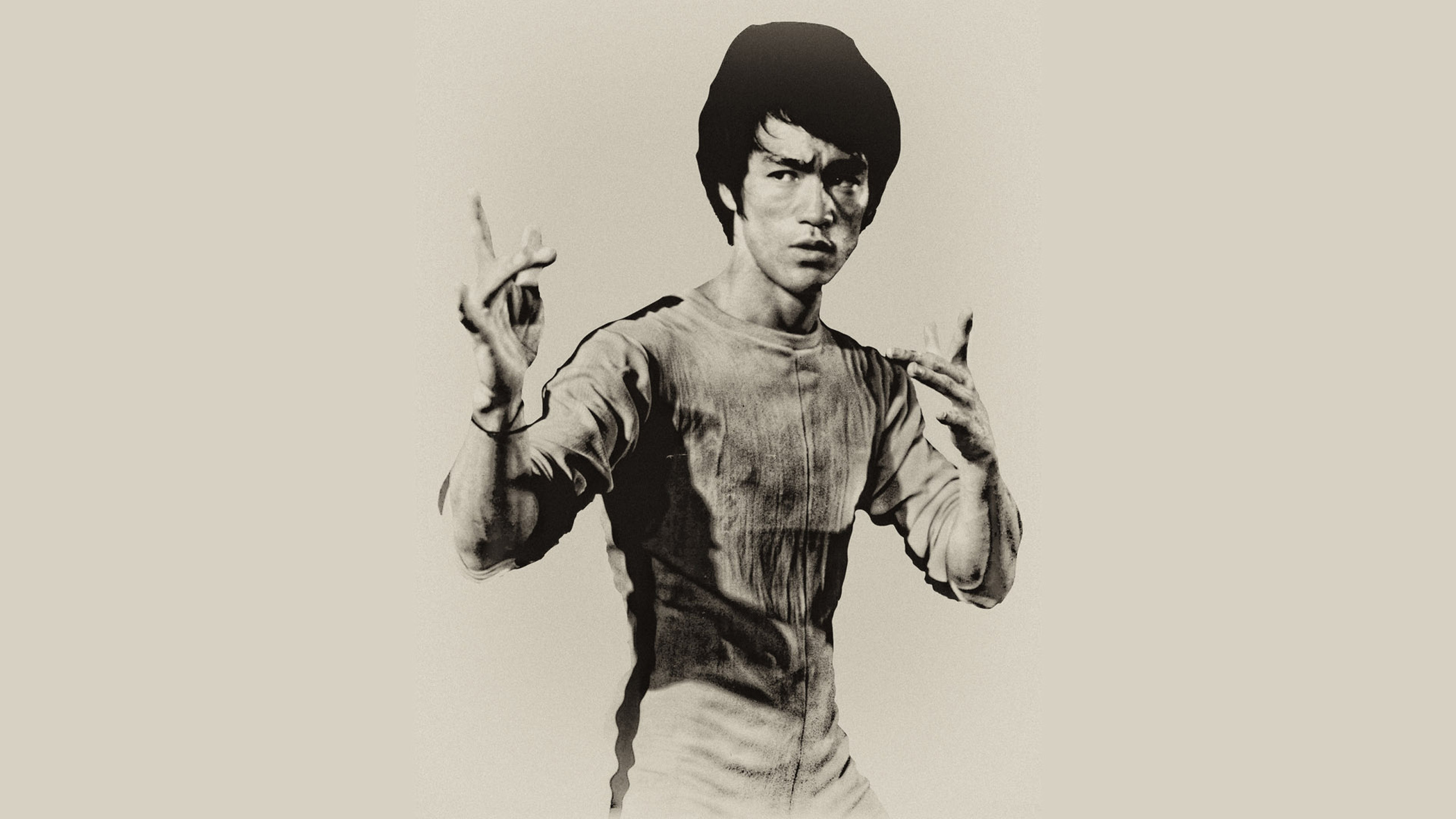 Bruce Lee Cartoon Images Wallpapers