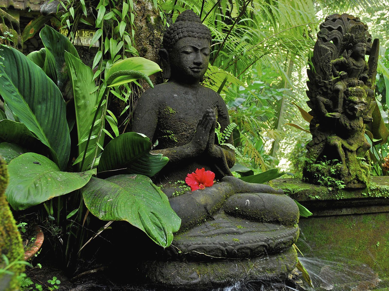 Buddha Backyard Ideas Wallpapers