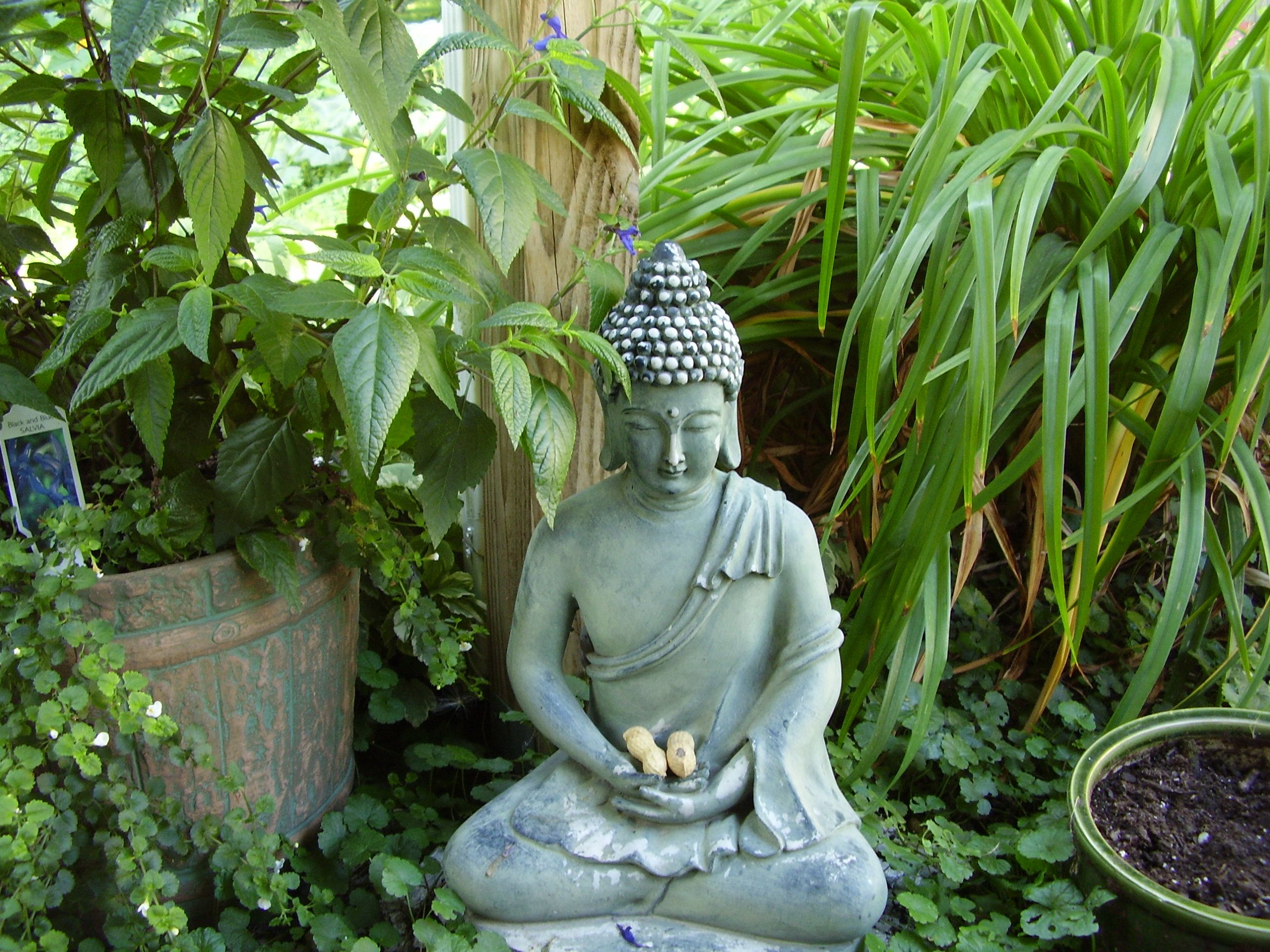 Buddha Backyard Ideas Wallpapers