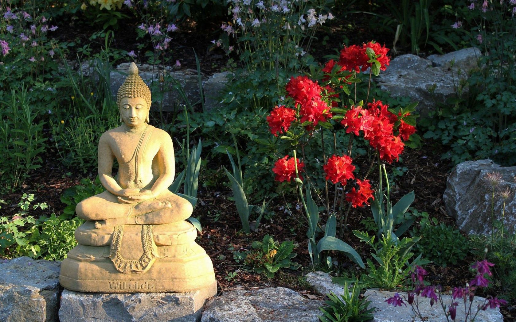 Buddha Backyard Ideas Wallpapers