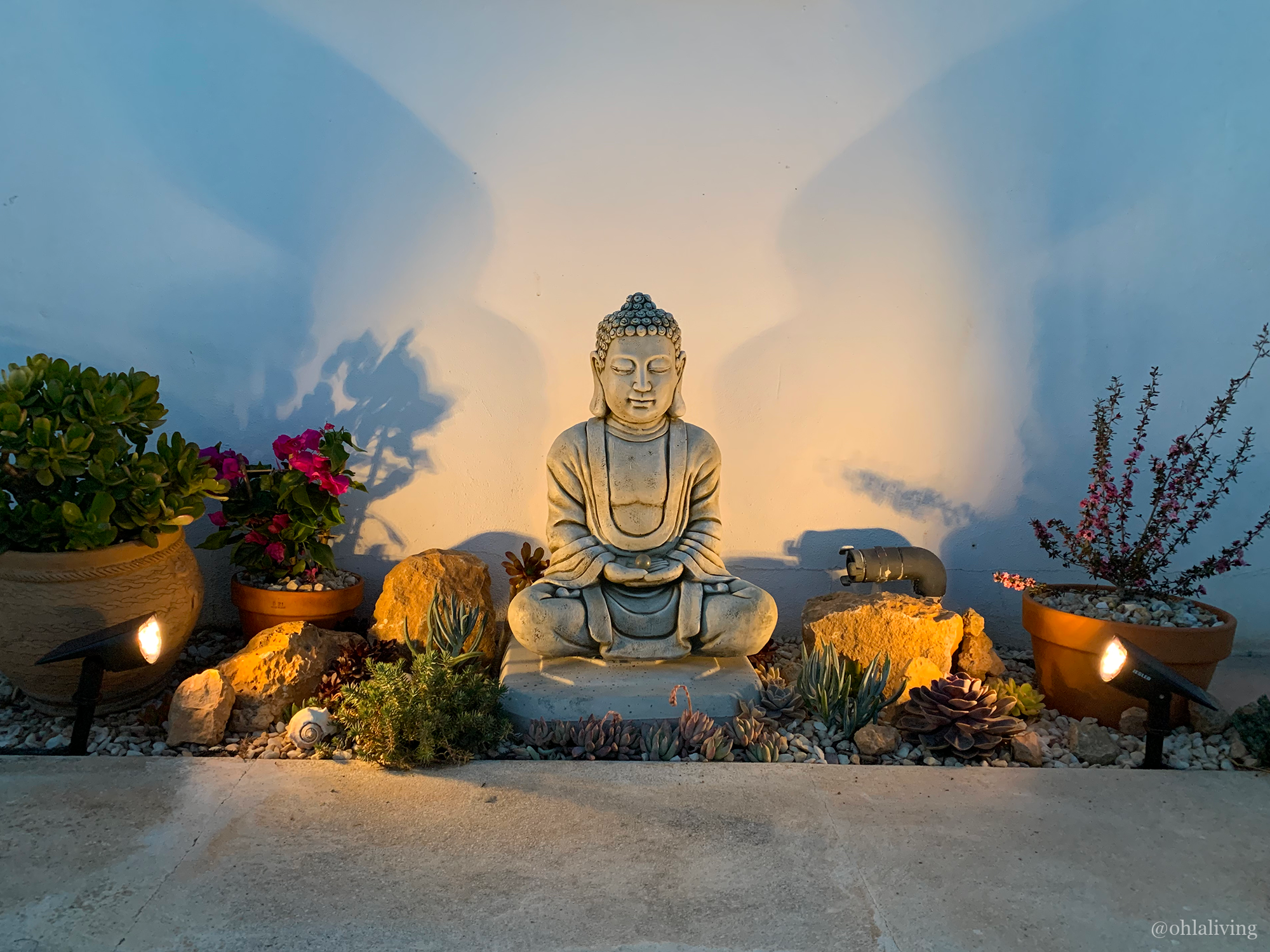 Buddha Backyard Ideas Wallpapers