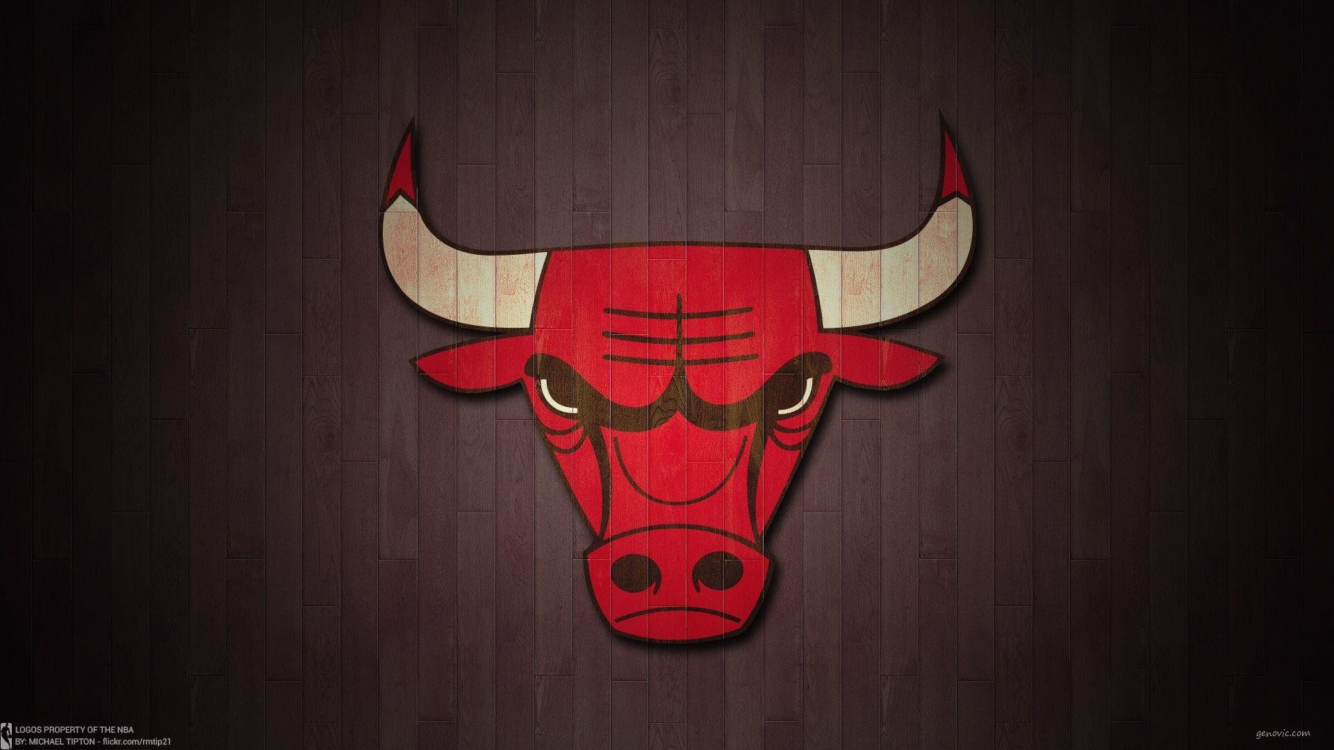 Bull Wallpapers