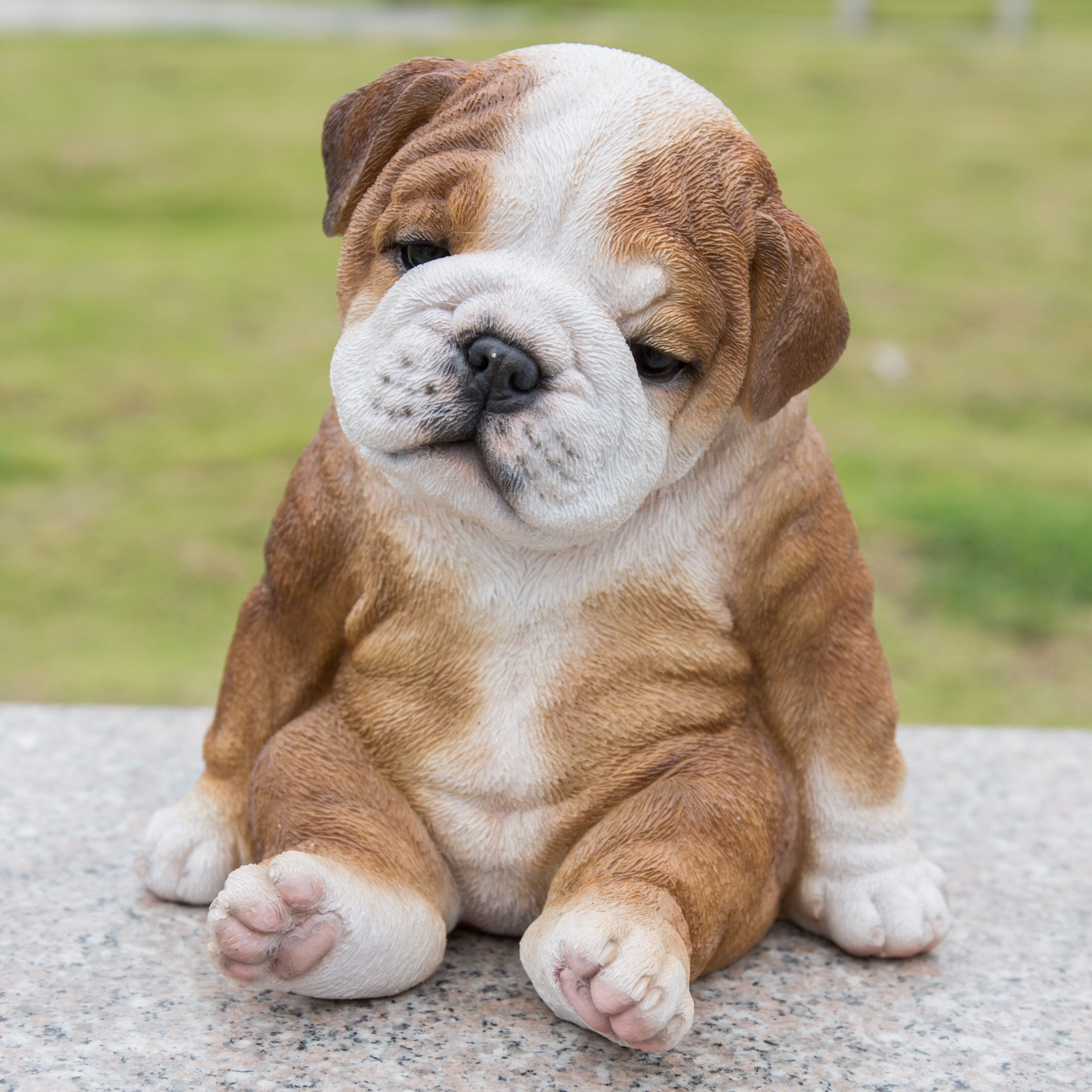 Bulldog Puppy Wallpapers