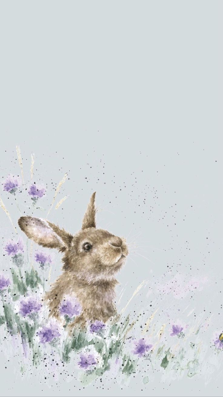 Bunny Phone Wallpapers
