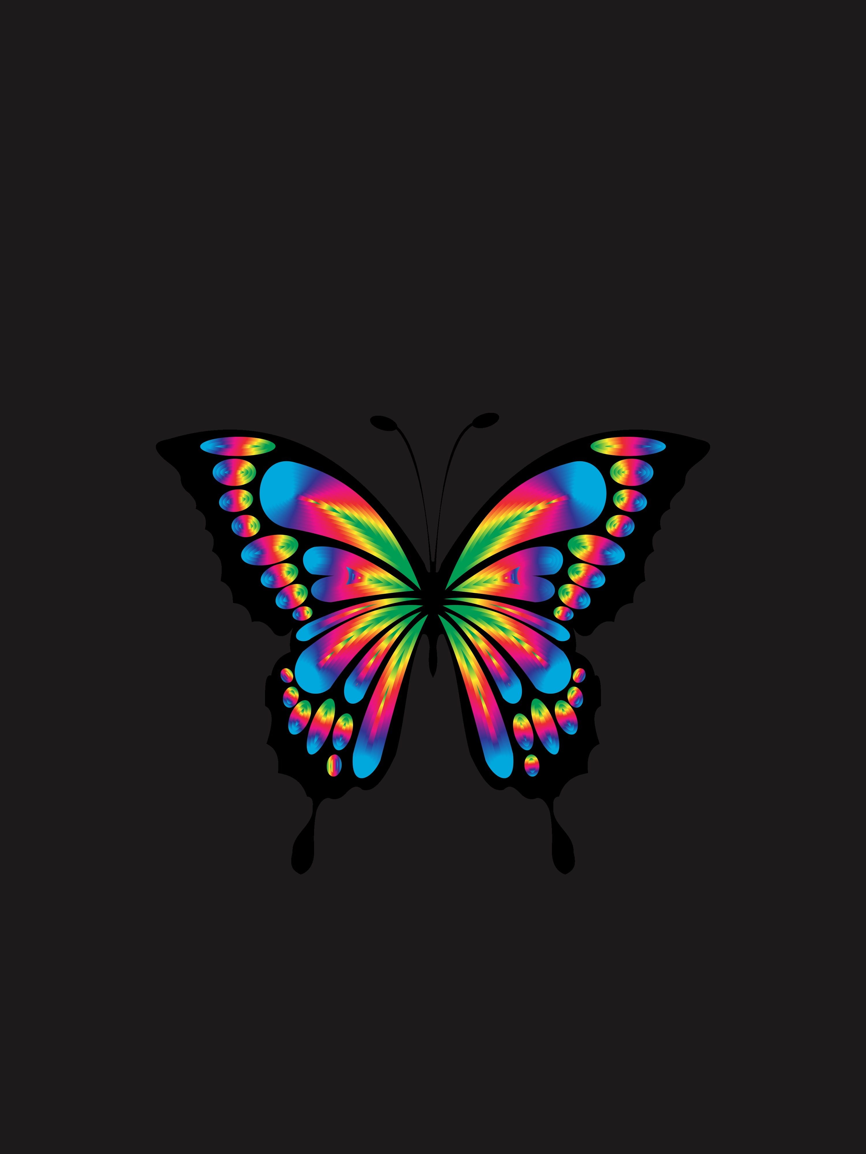 Butterfly 4K Wallpapers