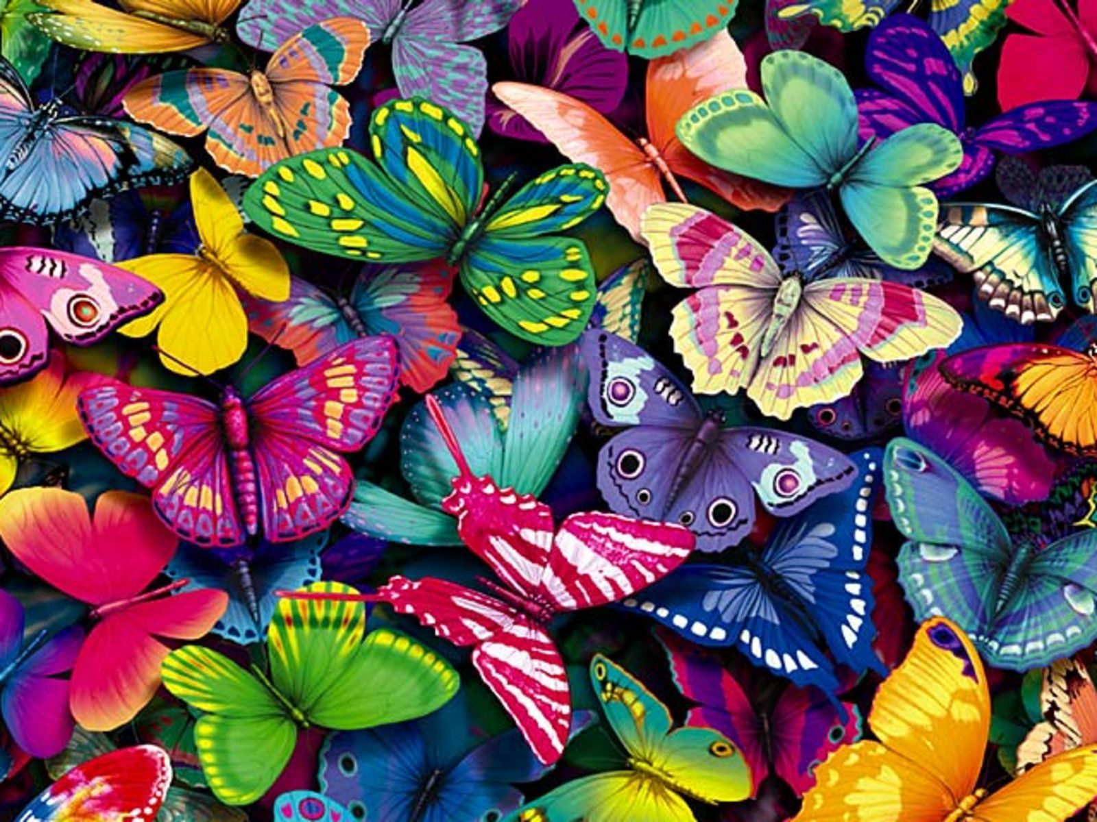 Butterfly Ipad Wallpapers