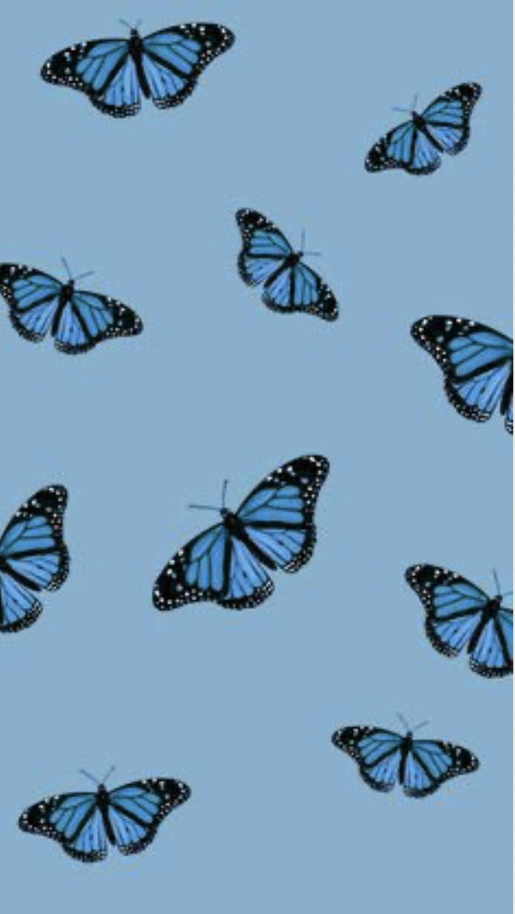 Butterfly Ipad Wallpapers