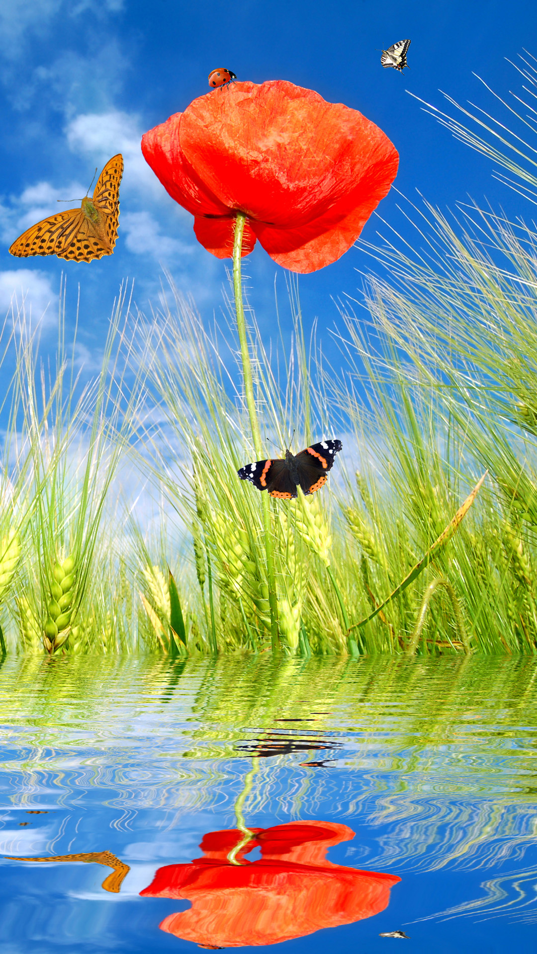 Butterfly For Android Wallpapers