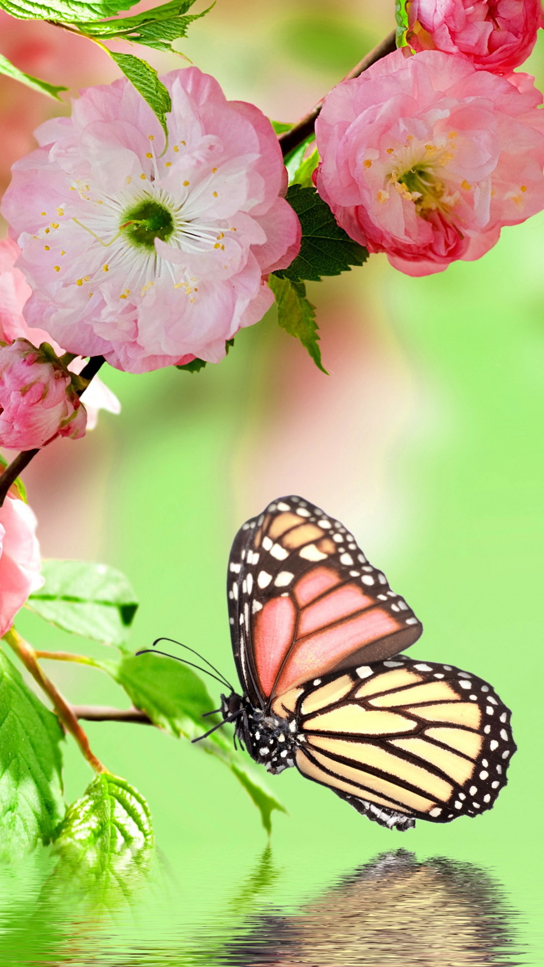 Butterfly For Android Wallpapers