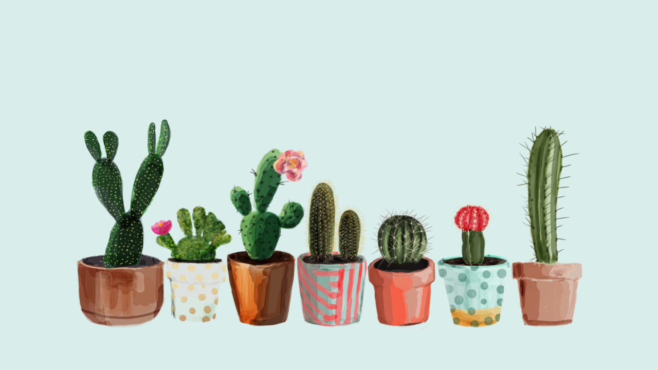 Cactus Desktop Wallpapers