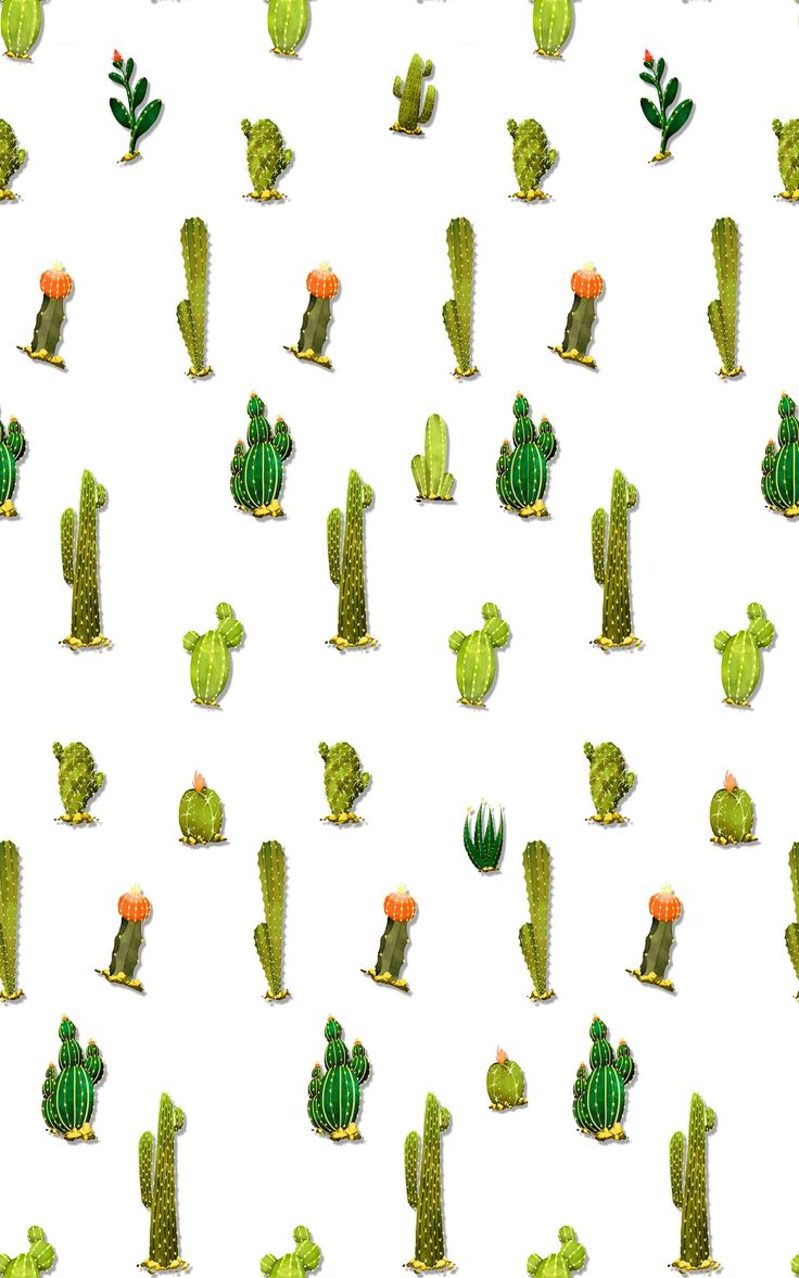 Cactus Print Wallpapers