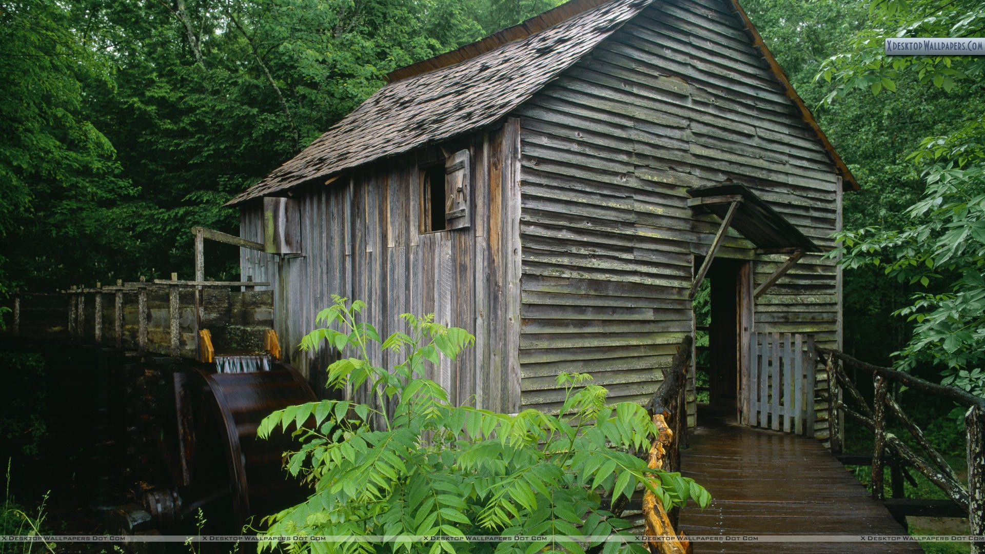 Cades Cove Wallpapers