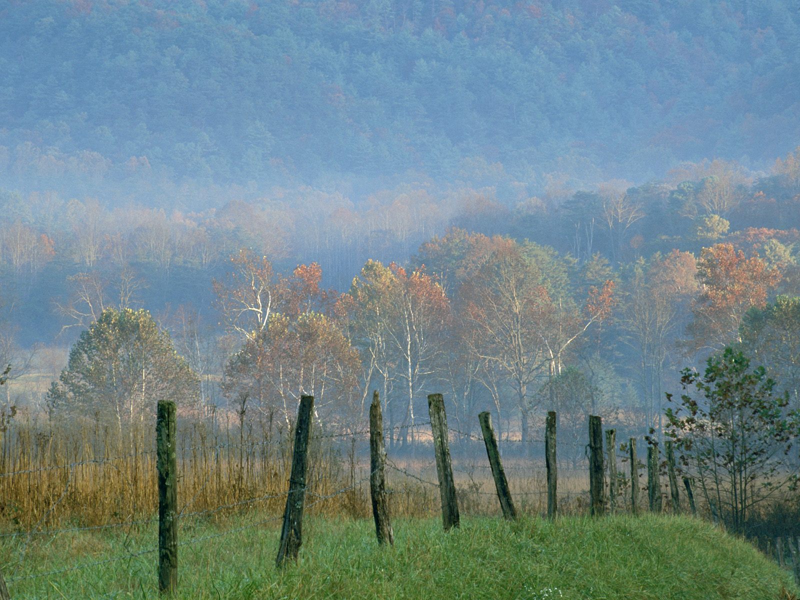 Cades Cove Wallpapers