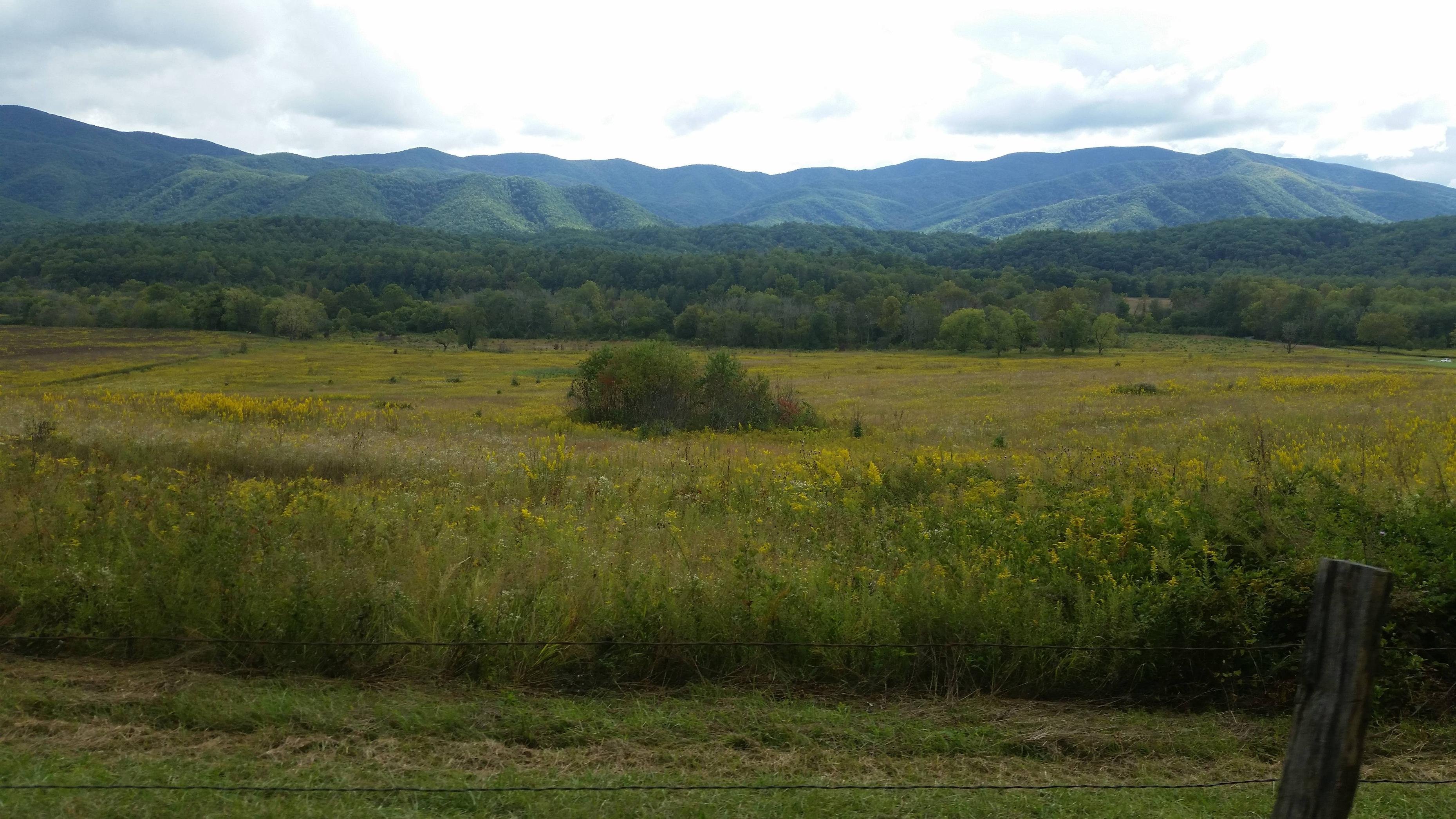 Cades Cove Wallpapers