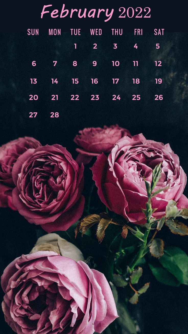 Calendar Iphone Wallpapers