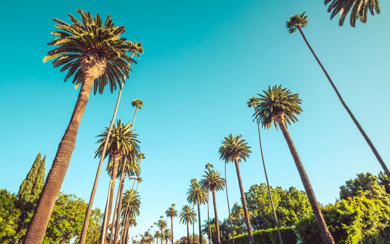 Cali Life Style Wallpapers