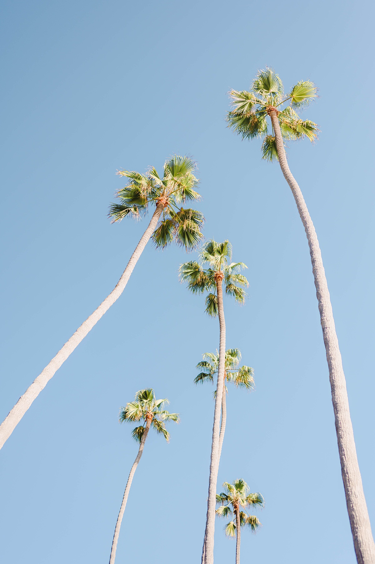 Cali Life Style Wallpapers